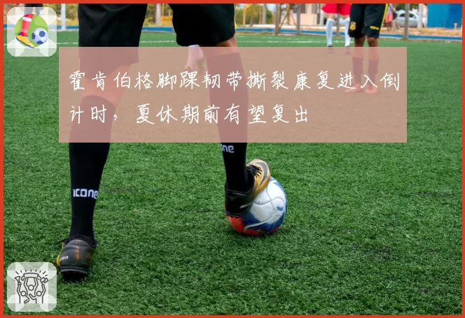 霍肯伯格脚踝韧带撕裂康复进入倒计时，夏休期前有望复出