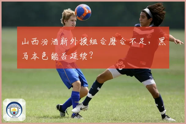 山西汾酒新外援组合磨合不足,黑马本色能否延续?