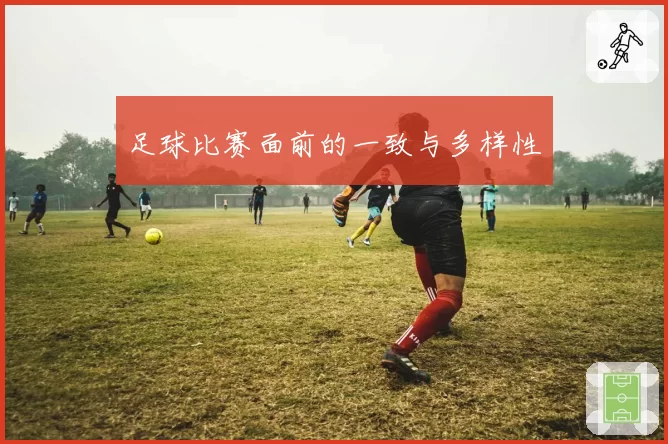 足球比赛面前的一致与多样性