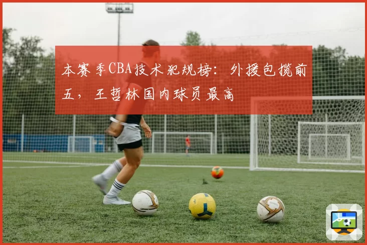 本赛季CBA技术犯规榜：外援包揽前五，王哲林国内球员最高