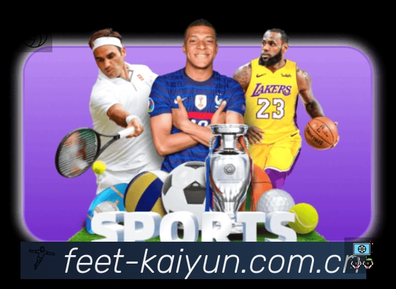 开云赛事入口体系与导航结构